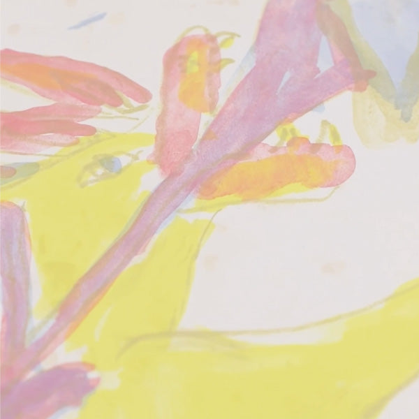 drakar och fjärilar