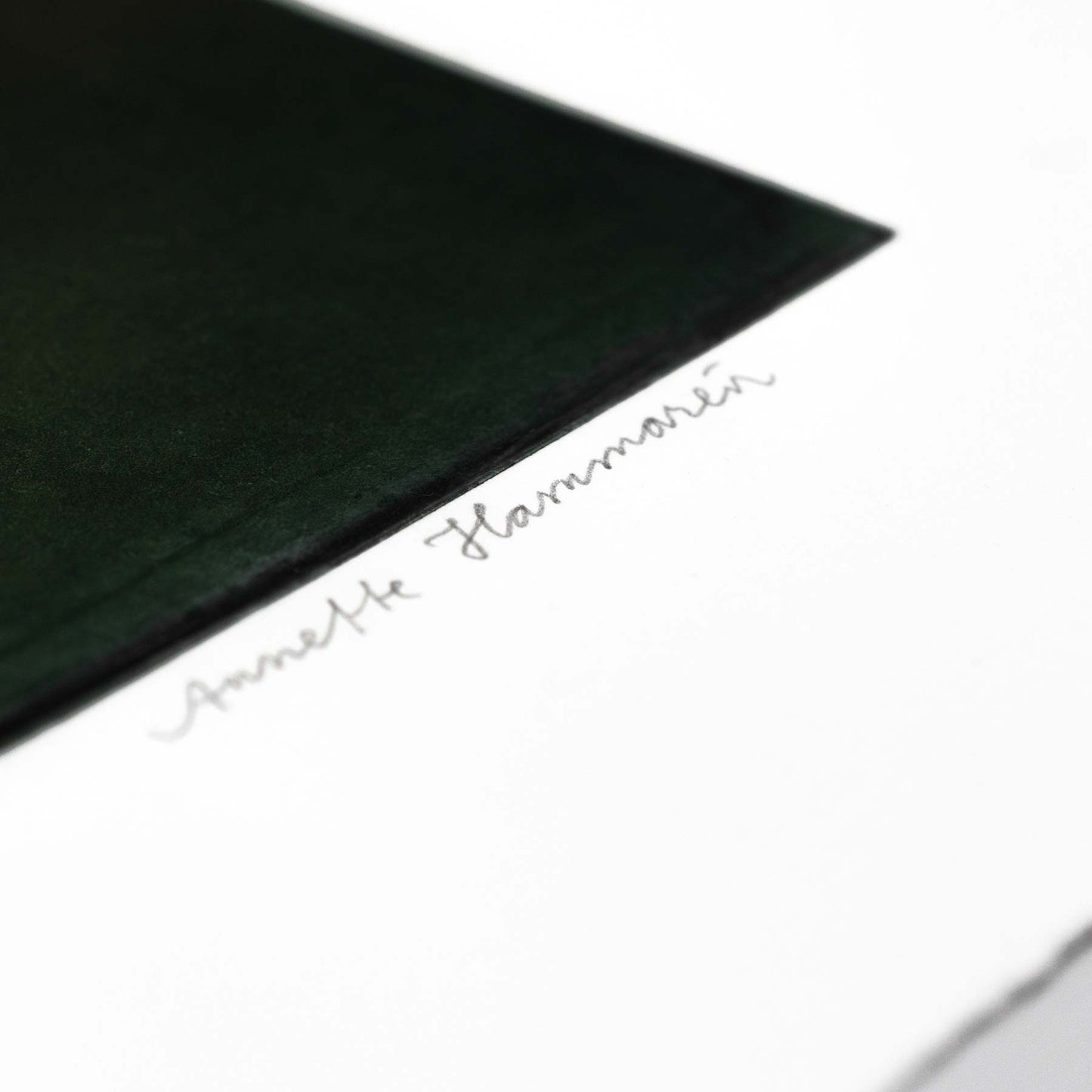 Sankmark - i vit ram