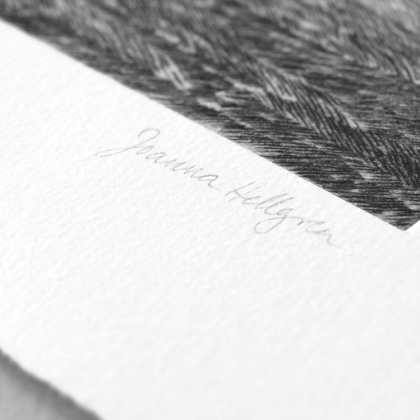 A house at the forest brim