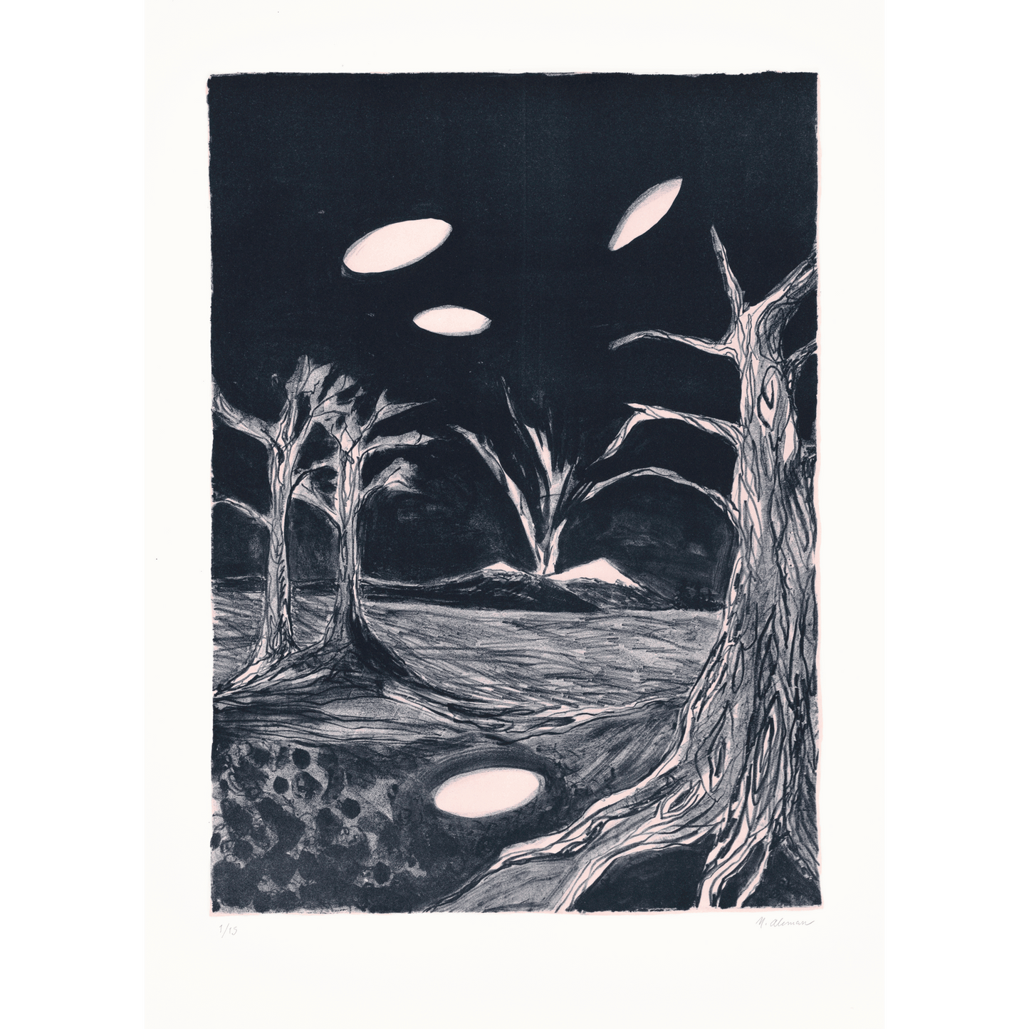 Night visitors