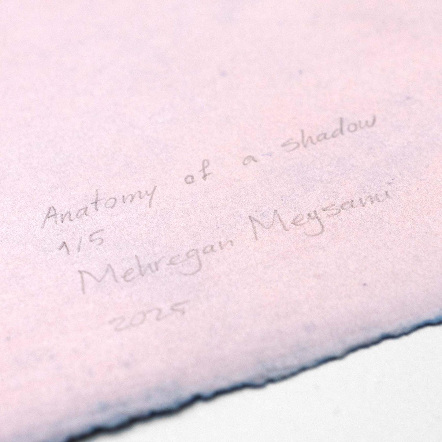 Anatomy of a shadow (I)