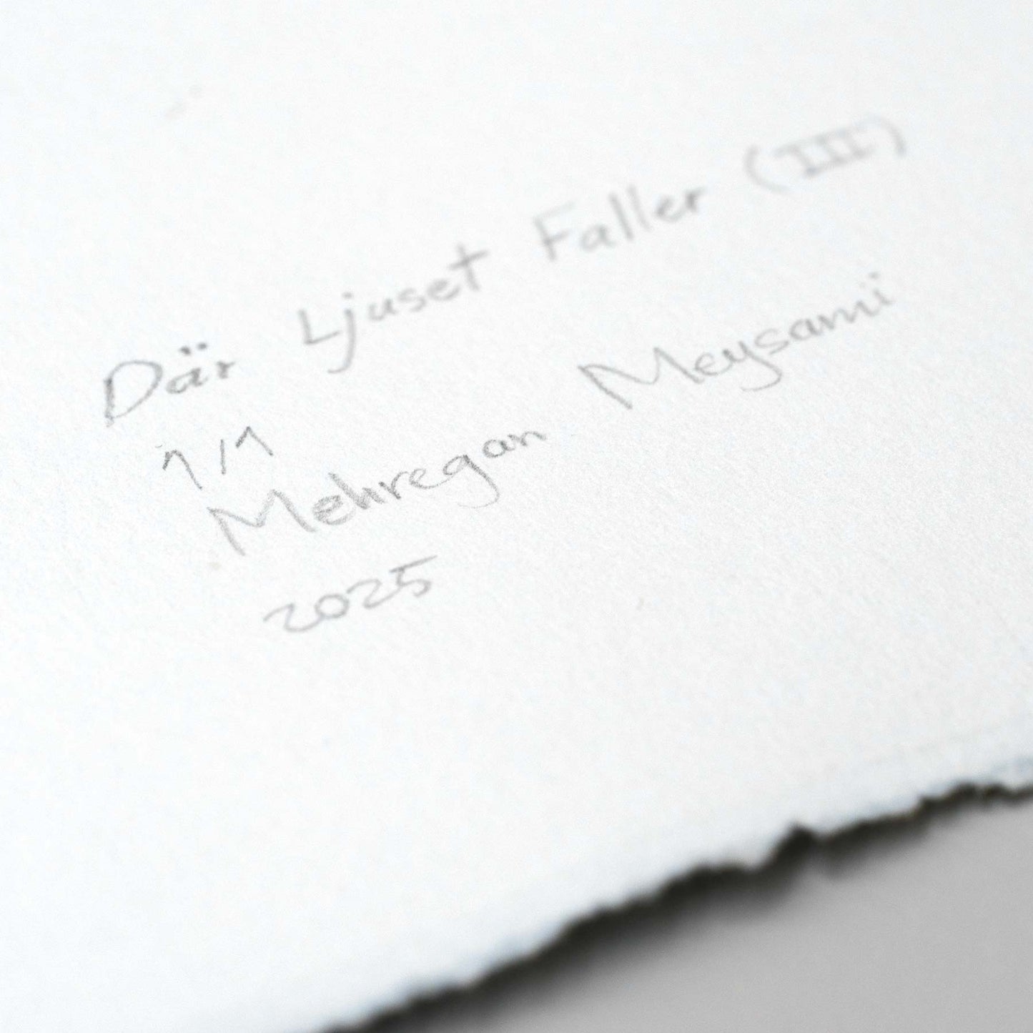 Where the light falls (III)