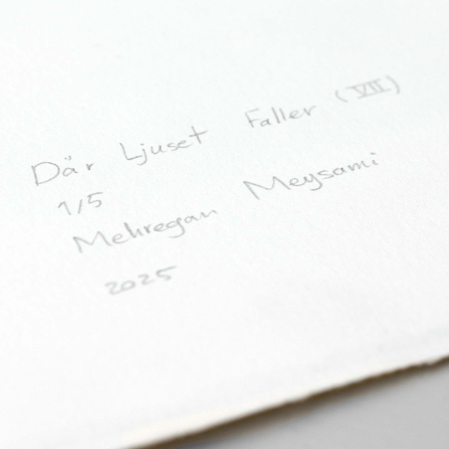 Where the light falls (V)