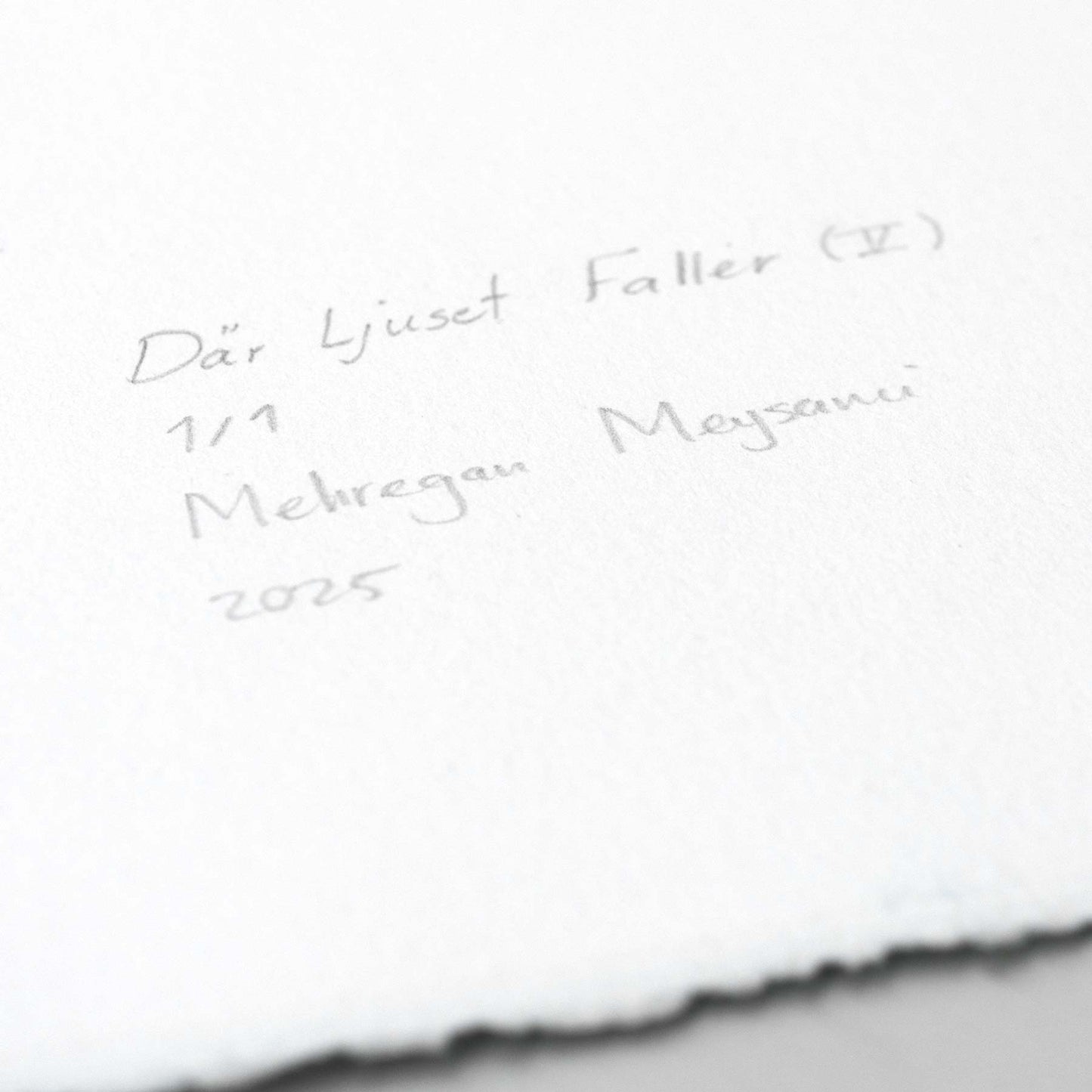 Where the light falls (V)