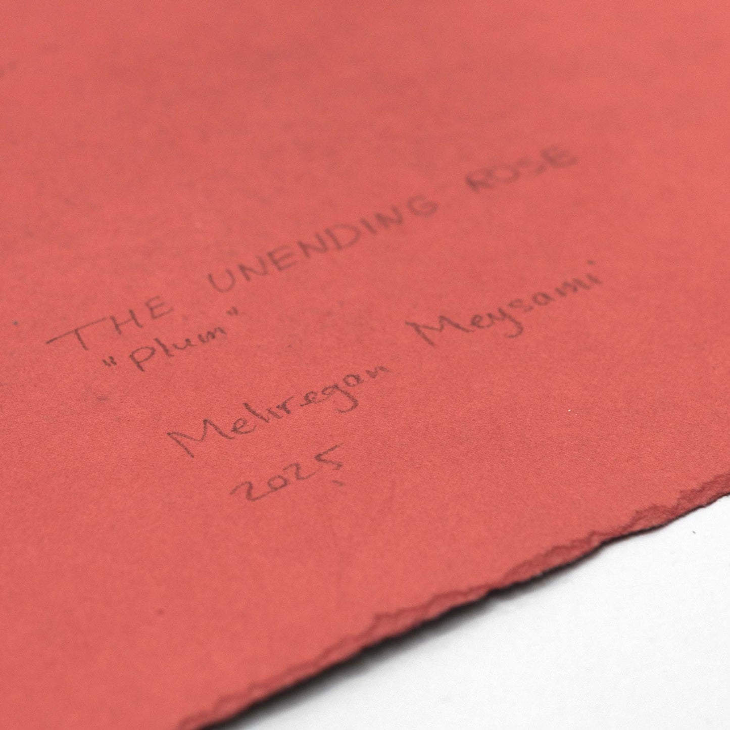 The Unedning Rose "plum"