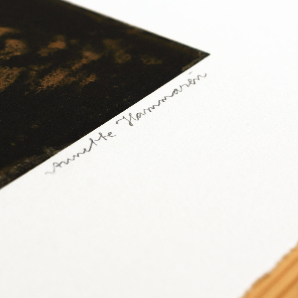 Kvällsljus - i vit ram