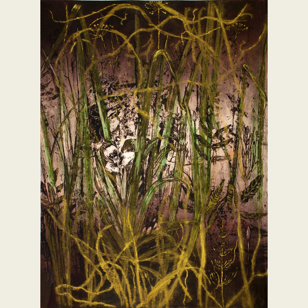 Plant Agua