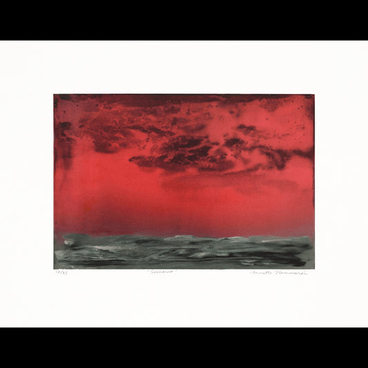 Scenario, ed. 12 av 25