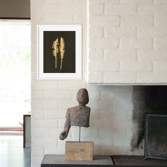 Matteuccia Struthiopteris II