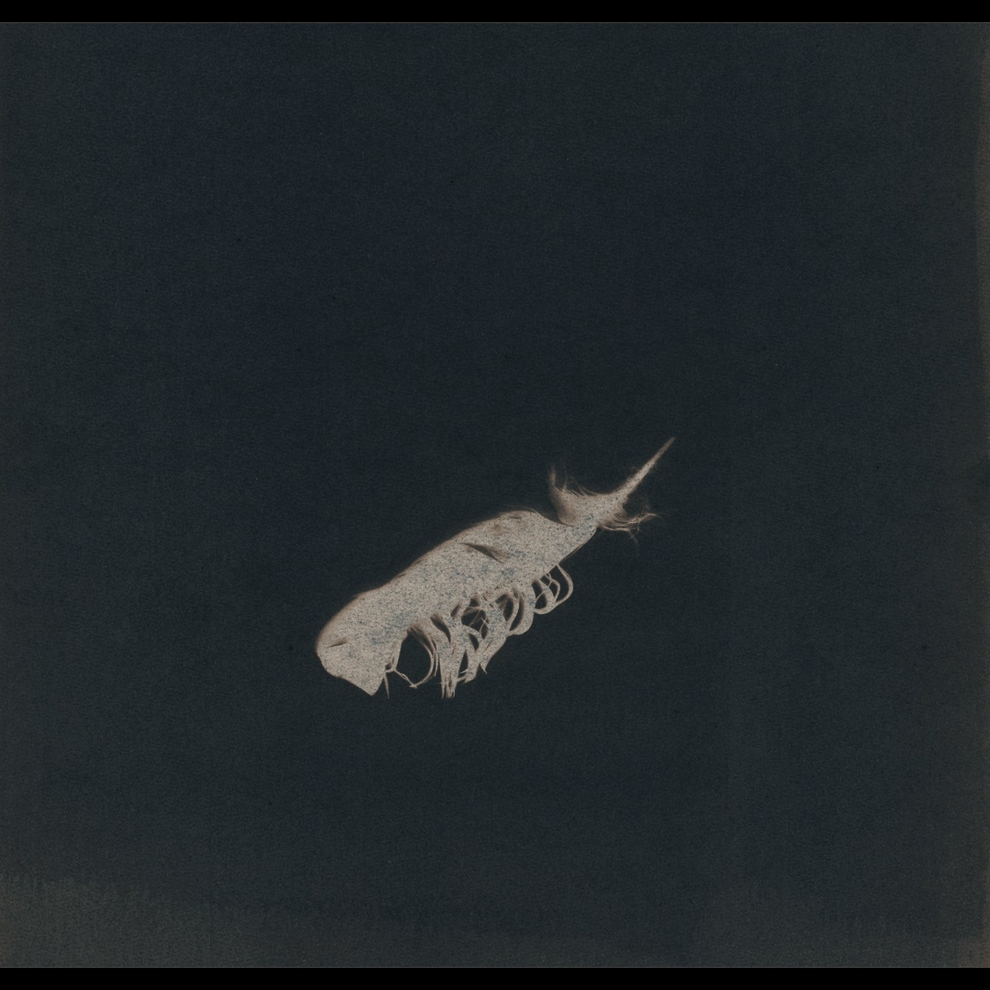 Plume IV