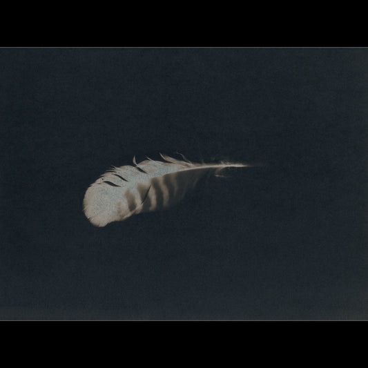 Plume V