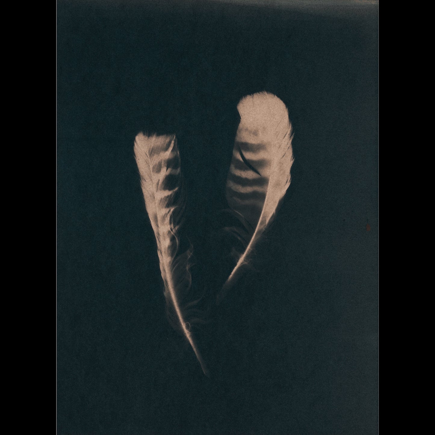 Plumis IV