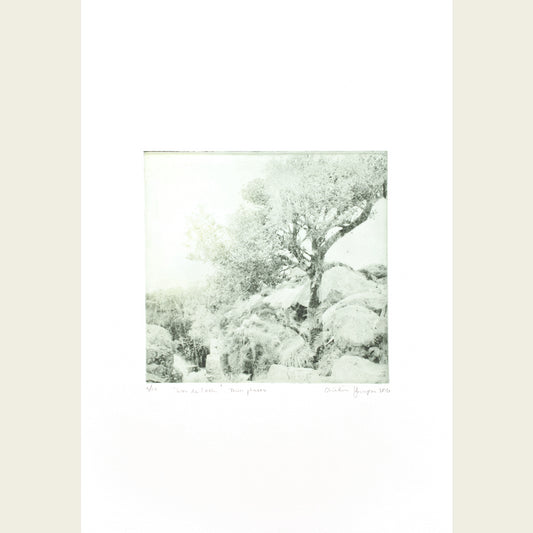 Thin places - Glen da Loch