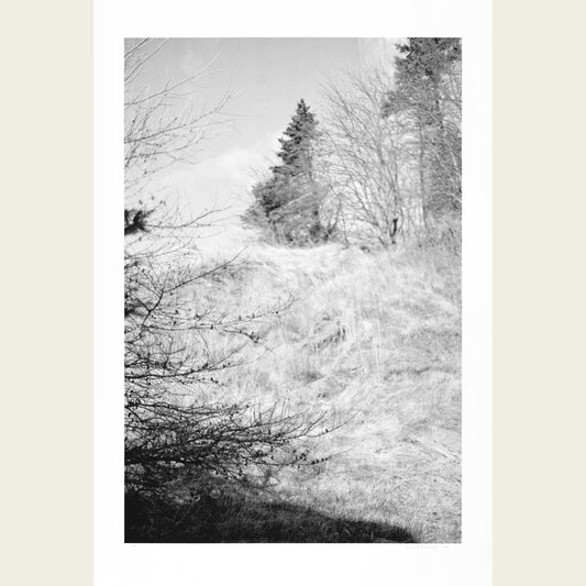 A letter to Bulgaria 8