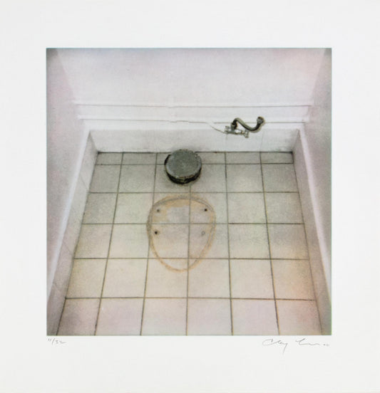 Details | Toilet trace