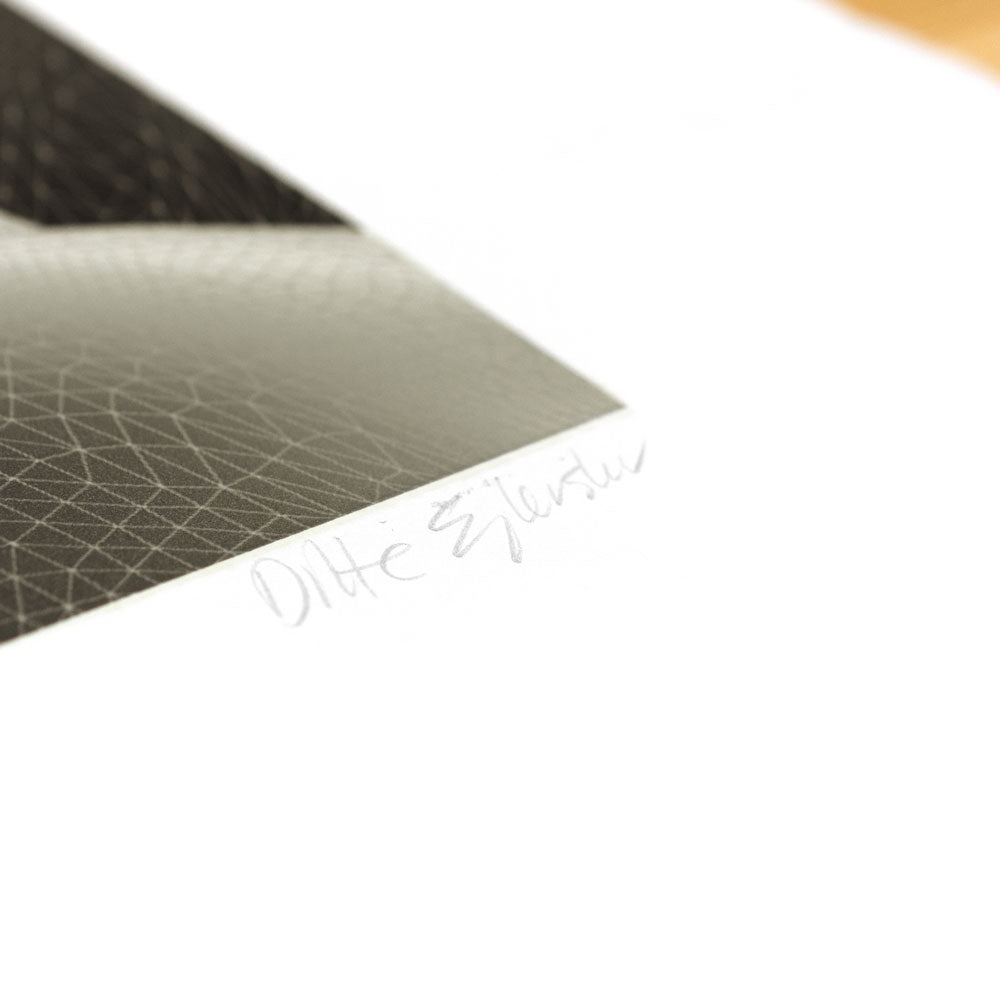 The Inside Body Scape (inverted, grey)
