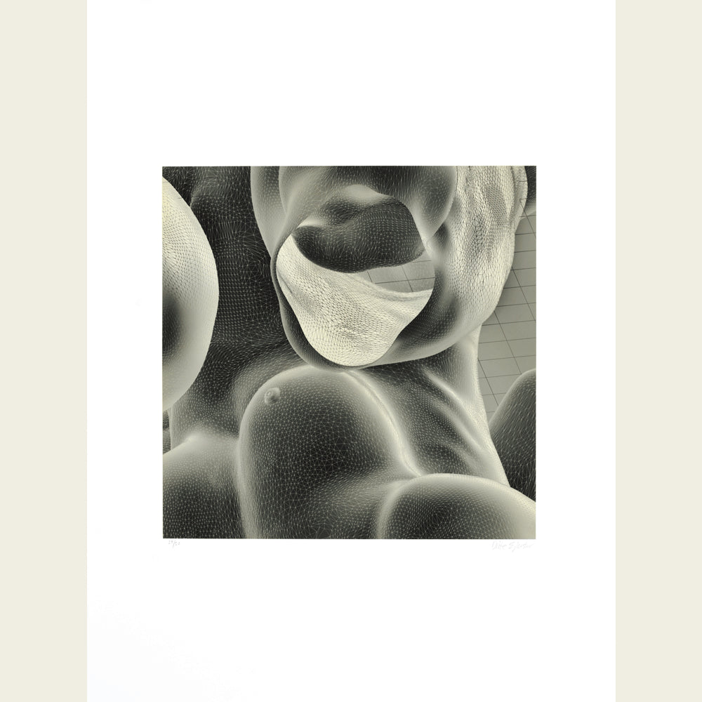 The Inside Body Scape (inverted, grey)