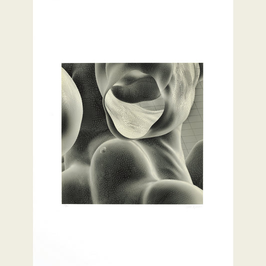 The Inside Body Scape (inverted, grey)