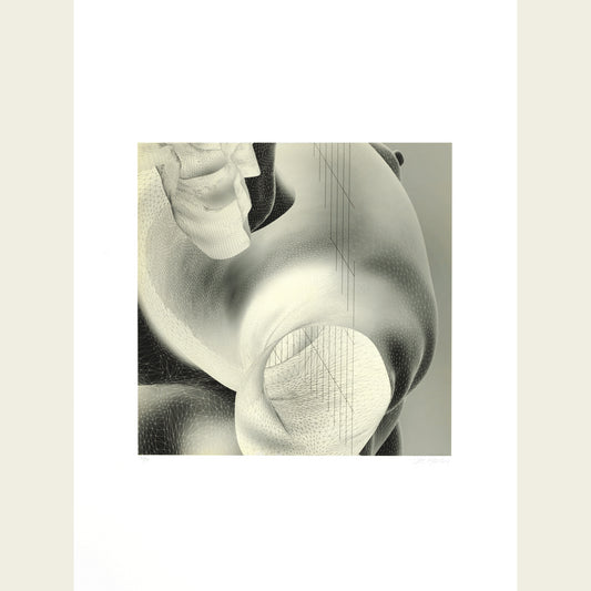 The Inside Scape (inverted, grey)