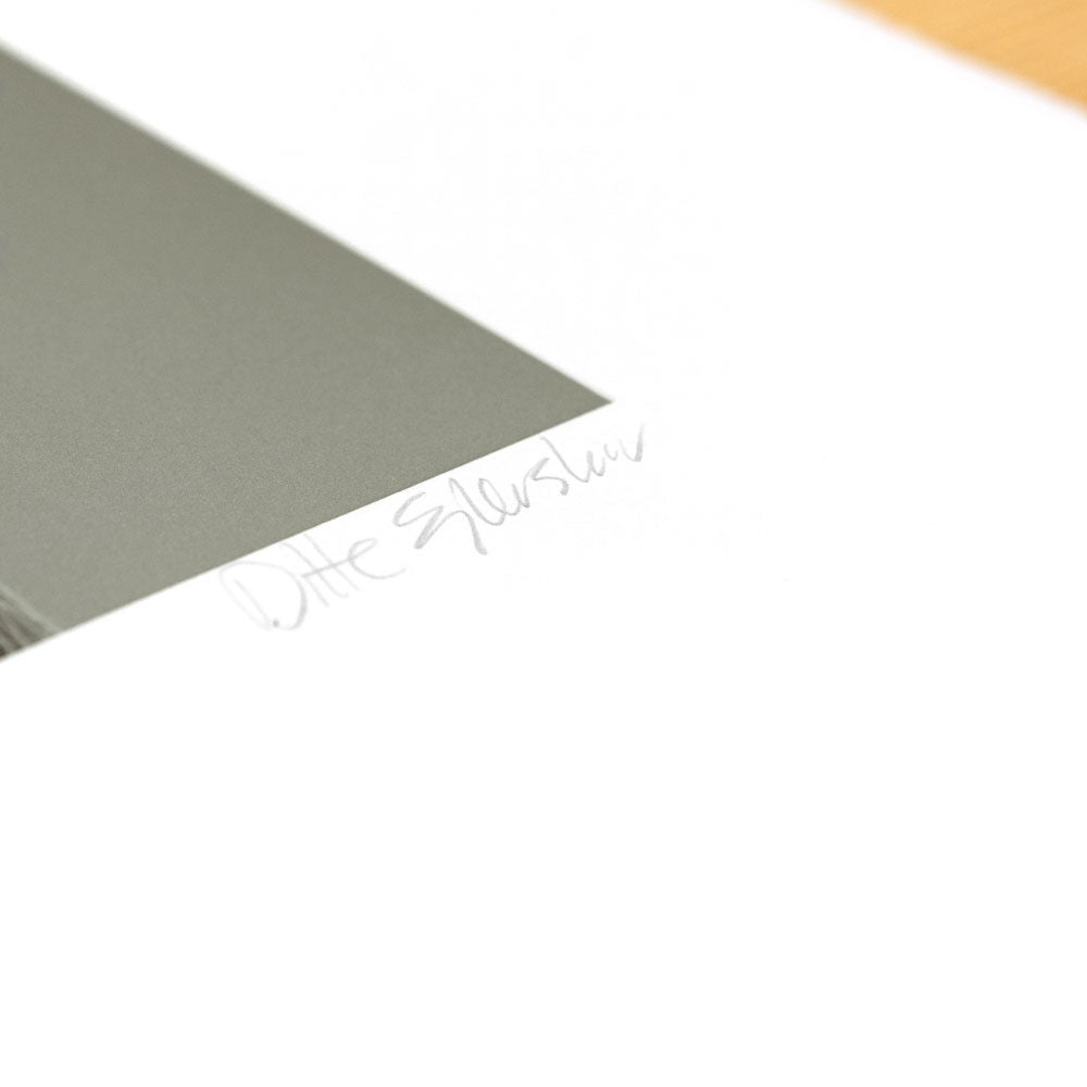 The Inside Scape (inverted, grey)