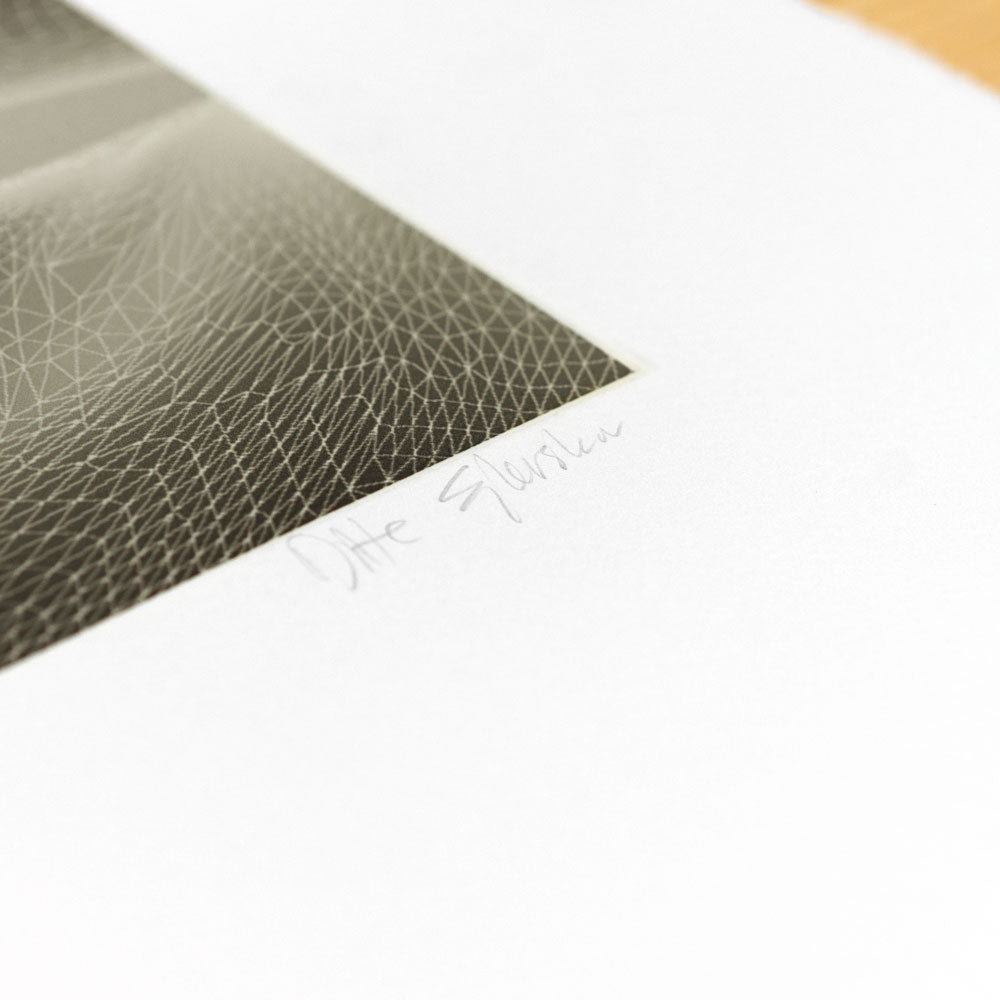 The Mesh Bodies (inverted, grey)