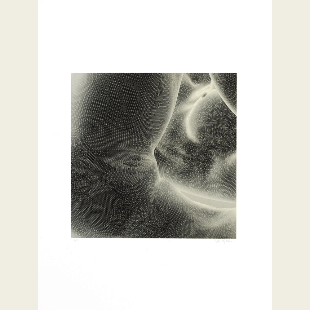 The Mesh Bodies (inverted, grey)