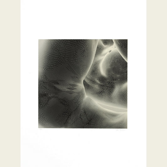 The Mesh Bodies (inverted, grey)