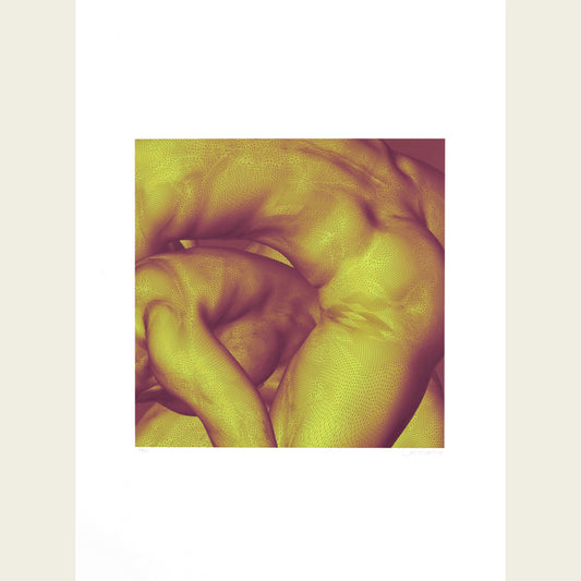 The Mesh Bodies (yellow and dusty burgundy)