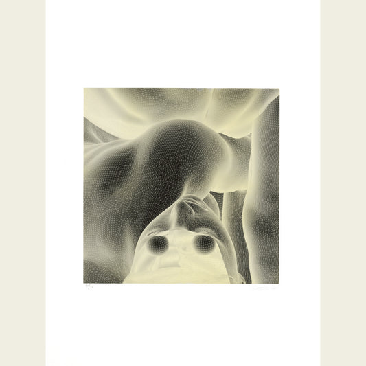 The Mesh Eyes (inverted)