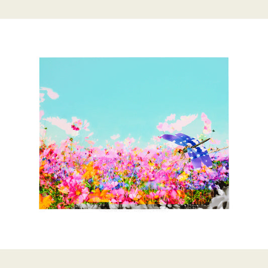 Total_System_Failure - 4135640550_7AC98f4d51_0