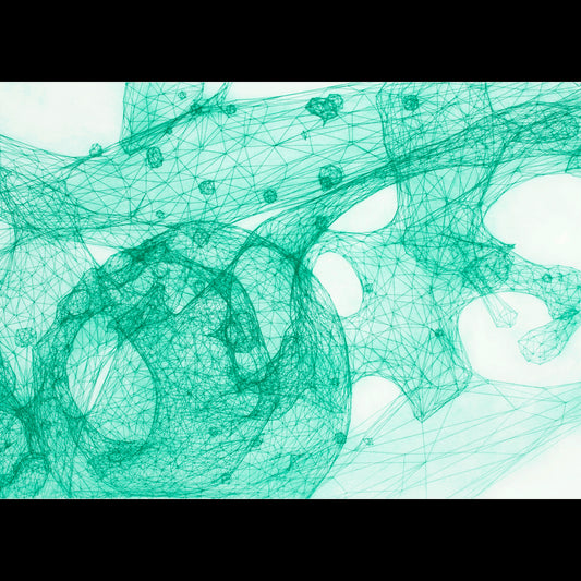 Entanglement nr 3, 6 av 15