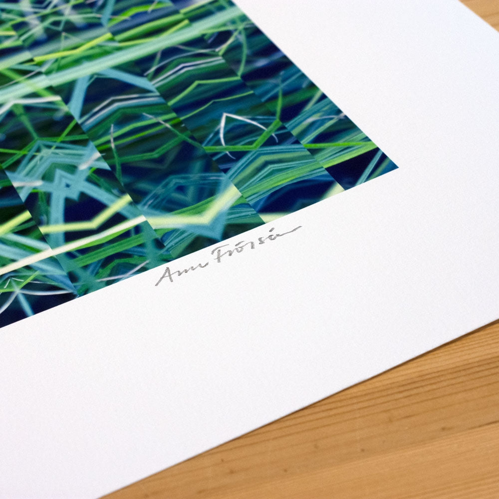 Grass - blue
