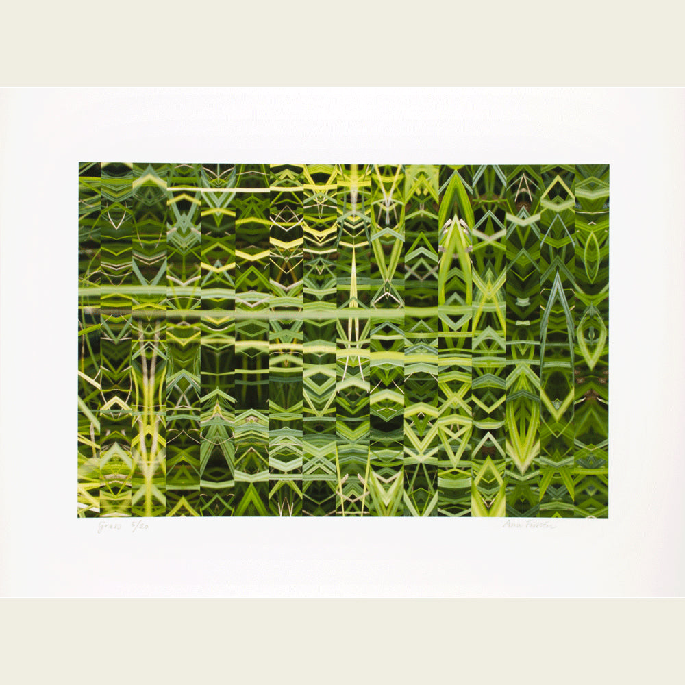 Grass