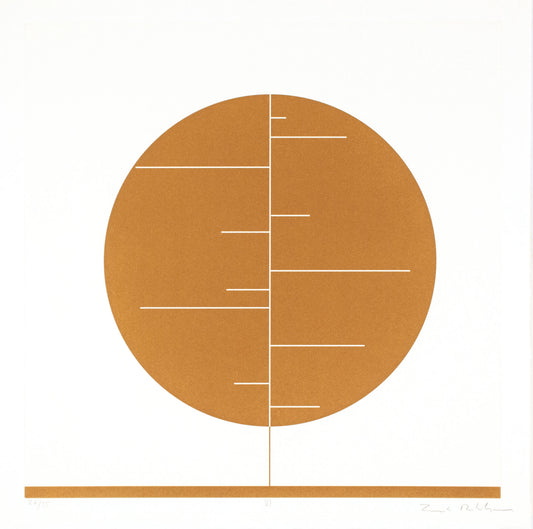 Constructing a New World VI