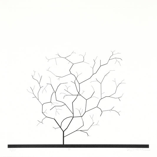 Constructing a New World XIII