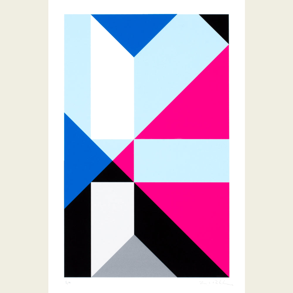 The Flag Project IV