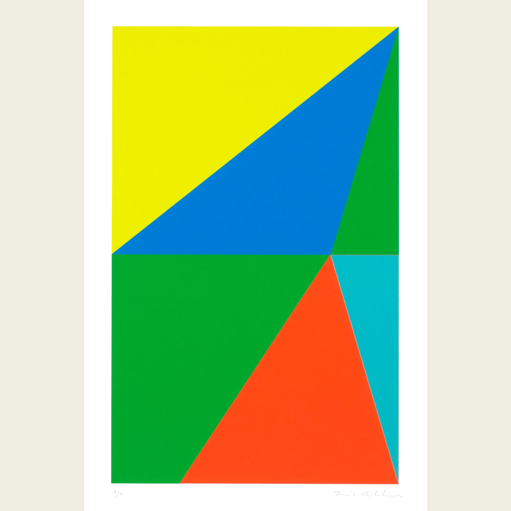 The Flag Project VI