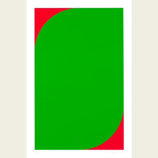 The Flag Project VII