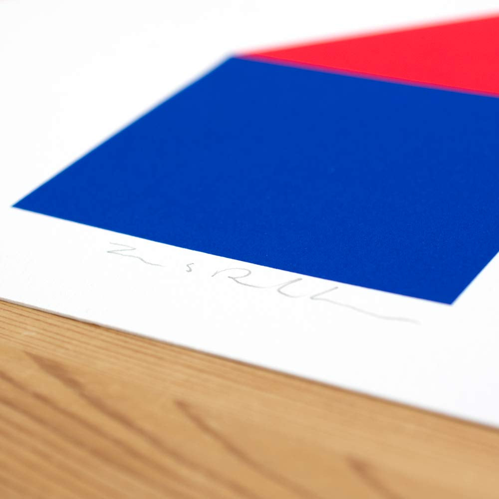 The Flag Project VIII