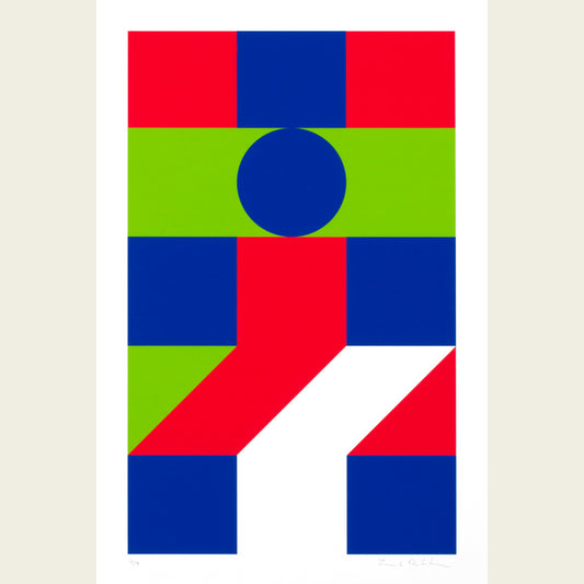 The Flag Project VIII