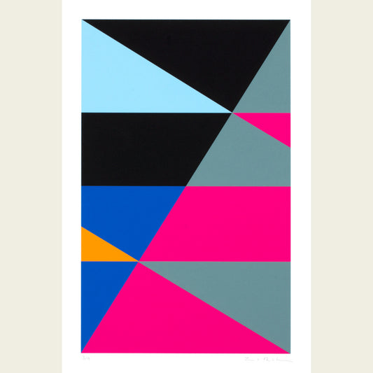 The Flag Project XII