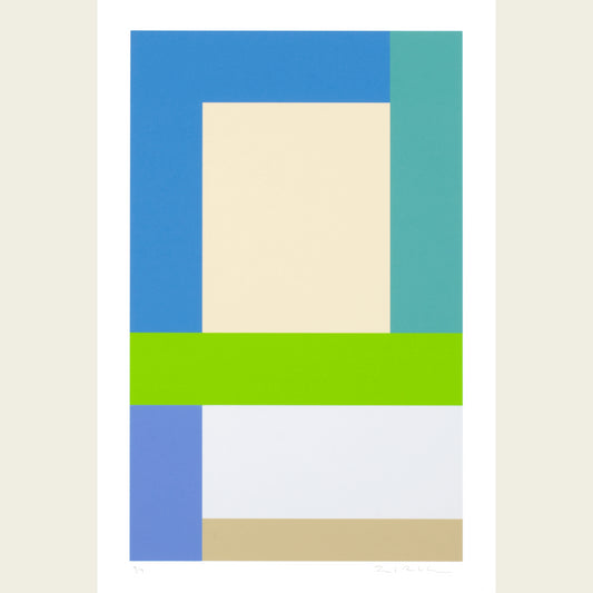 The Flag Project XIII