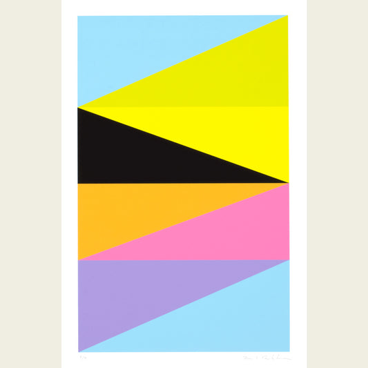 The Flag Project XIV