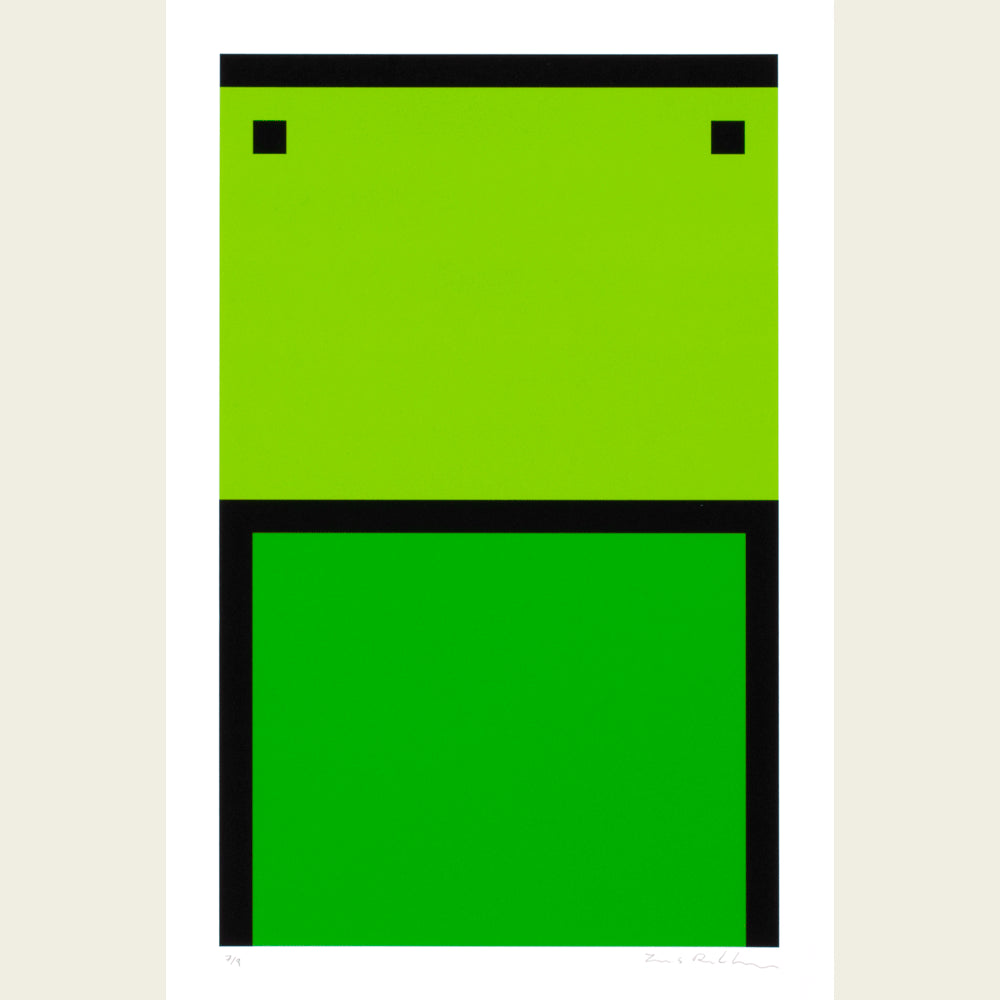 The Flag Project XVI
