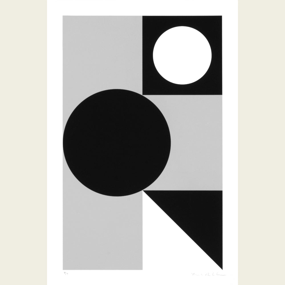 The Flag Project XVIII