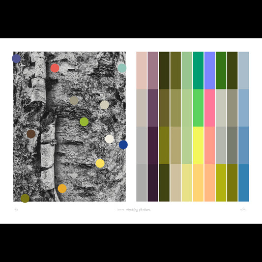 Lavens utbredning på nävern