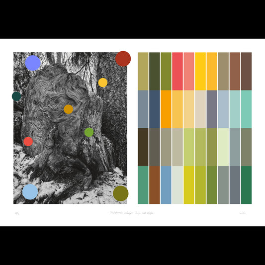 Skulpturala poänger längs med stigen