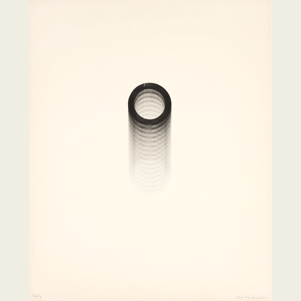 Oa24p