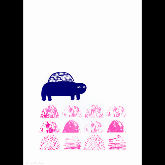 The Bumpy Road Turtle