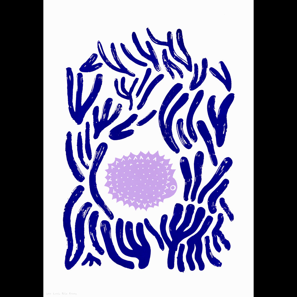 The Coral Hedgehog